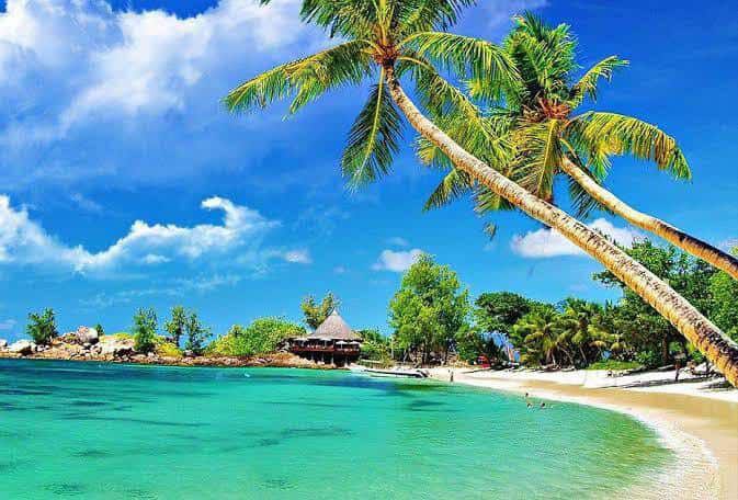 Weed Culture in Sanya